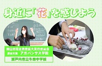 アガパンサス