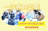 日本赤十字社