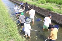 お魚探検隊