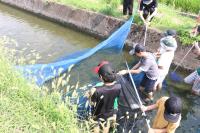 お魚探検隊